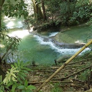 Meet your Posher, Dominique